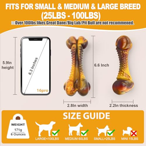 Dog Chew Toys for Aggressive Chewers, 2Pack Indestructible Dogs Bone Toy for Large Small Medium Breeds, Durable Tough Nylon Dog Toys To Keep Them Busy, Puppy Teething Dogs Toy Bone, Beef&Bacon Flavor - color: Real Bacon&Beef