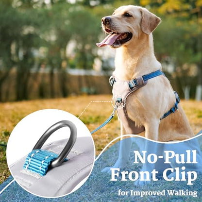 Huntboo No-Pull Dog Harness, Fully Reflective Vest with 2 Leash Clips, No-Choke, Adjustable, Breathable & Durable for Small, Medium & Large Dogs Walking, Training, Running (Teal Blue, L) - color: Teal Blue, size: Large (Pack of 1)