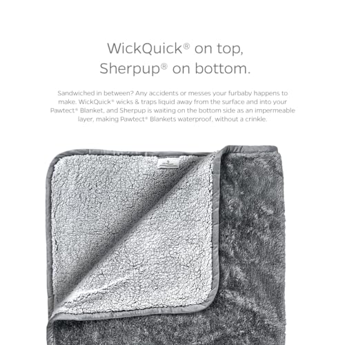 Pet Parents PAWTECT Blanket Waterproof Premium Dog, CAT, and Puppy Blanket, Slate, Medium - color: Slate, size: 32"x40"