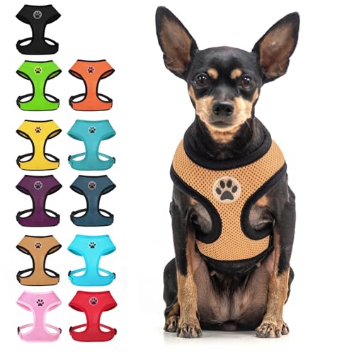 BINGPET Small Dog Harness, No Pull Dog Harness Small Sized Dogs, Soft Light Breathable Mesh Puppy Vest with Safety Buckle-Adjustable Step in Pet Harnesses for Easy Walking, Running, Training - color: Beige, size: XS (NECK: 10", CHEST: 10"-14")