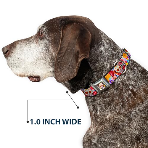 Buckle-Down Dog Collar Seatbelt Buckle Sugar Skull Starburst White Multi Color 18 to 32 Inches 1.5 Inch Wide (DC-WTY008-WL) - size: 1.5" Wide - Fits 20-31" Neck - Large