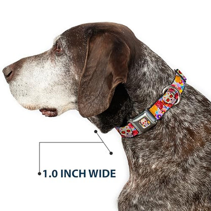 Dog Collar Seatbelt Buckle Sugar Skull Starburst White Multi Color 13 to 18 Inches 1.5 Inch Wide - size: 1.5" Wide - Fits 13-17" Neck - Small