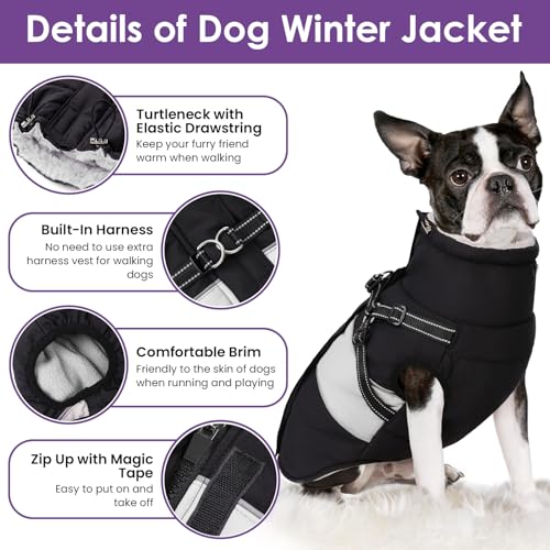Small Dog Coat with Harness Built in, Warm Dog Jacket Winter with Zipper On Back, Waterproof Pet Snow Jacket Snowsuit Pet Sweater Clothes for Puppy, Black XS - color: Black, size: X-Small