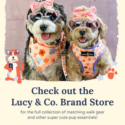 Lucy & Co. The Bouquet No-Pull Dog Harness - Size Small - Vest to Stop Pulling & Walk Easy - Comfortable Leash Training Product w/Adjustable Chest & Neck Straps - color: The Buquet No-Pull Harness, size: Small