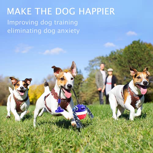 Askhald Aggressive Chewer Dog Toys - Rope Toys with Suction Cup, Teething Treats & Puzzle Food Dispensing Ball (Navy Blue) - color: Navy blue