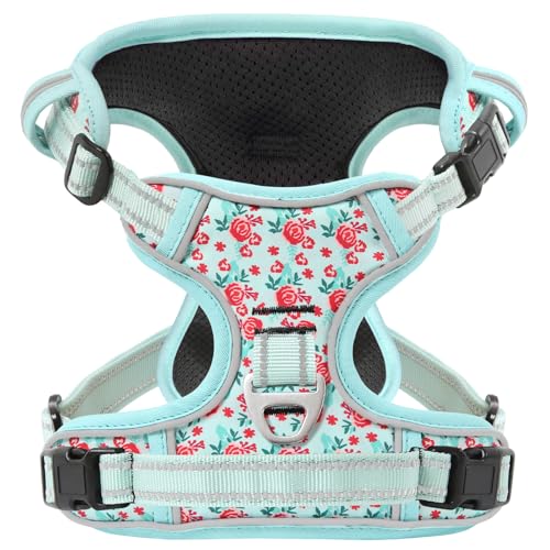 Dog Harness, 3 Snap Buckles No-Pull Soft Padded Dog Vest with 2 Metal Leash Clips,Adjustable Reflective No Choke Pet Harness with Easy Control Handle for Small Dogs,Cyan,S - color: Normal-Cyan, size: Small (Pack of 1)