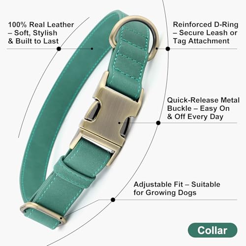 Plutus Pet Genuine Leather Dog Collar – Adjustable Pet Collar with Quick Release Metal Buckle, Soft Real Leather for Small Medium Large Dogs, Heavy Duty & Skin-Friendly (Green, S) - color: Green, size: S