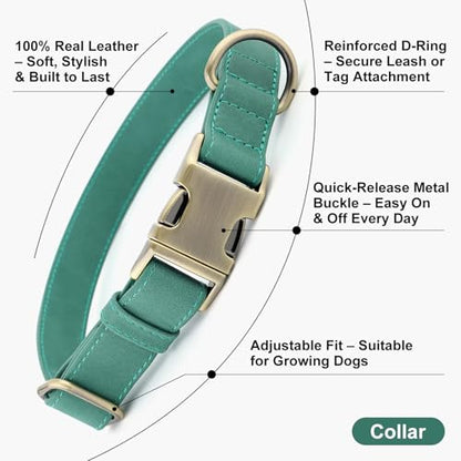 Plutus Pet Genuine Leather Dog Collar – Adjustable Pet Collar with Quick Release Metal Buckle, Soft Real Leather for Small Medium Large Dogs, Heavy Duty & Skin-Friendly (Green, S) - color: Green, size: S
