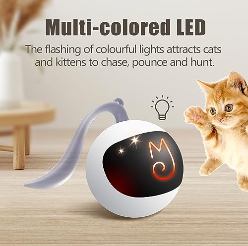 Migipaws Interactive Cat Ball Toy Set, Fun Tracker, Automatic Rolling Chase Ball with Fluffy Tail, A Small Mice, Rechargeable (White) - color: White