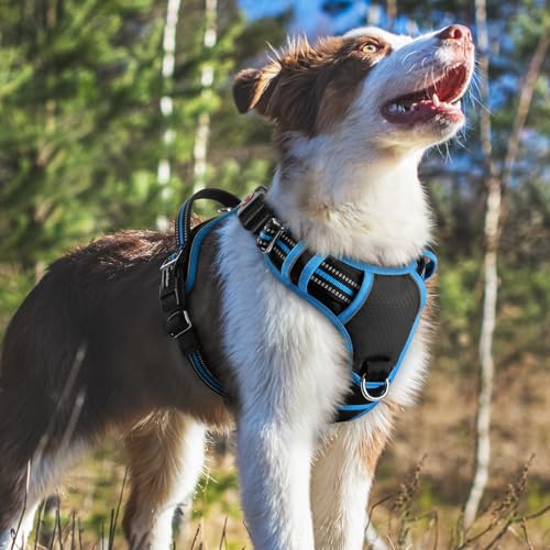 rabbitgoo Dog Harness Medium Sized, No Pull Dog Vest with 3 Buckles, Adjustable Soft Padded Pet Harness with Easy Control Handle and Reflective Strips, Black & Sky Blue, M - color: Black & Sky Blue, size: Medium