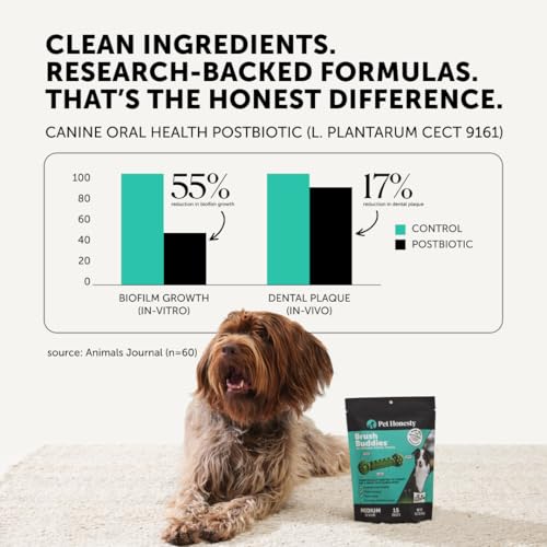 Pet Honesty Brush Buddies All Natural Dog Dental Treats for Dogs – Long Lasting Dental Sticks for Dogs, Teeth Cleaner, Breath Freshener, Plaque & Tartar Remover – Small Dogs (25 Count) - size: Small Dog - 25 Count