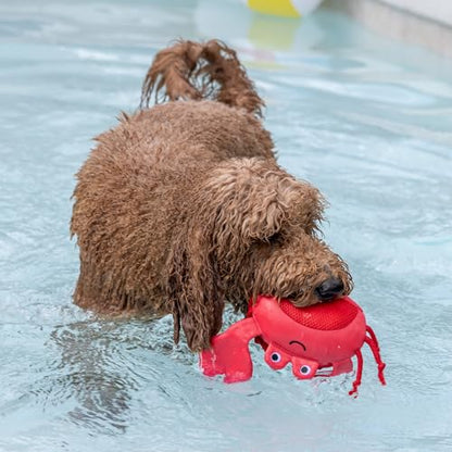 Fringe Studio Claws Floating Dog Toys, Pet Shop Collection (640007) - color: Claws