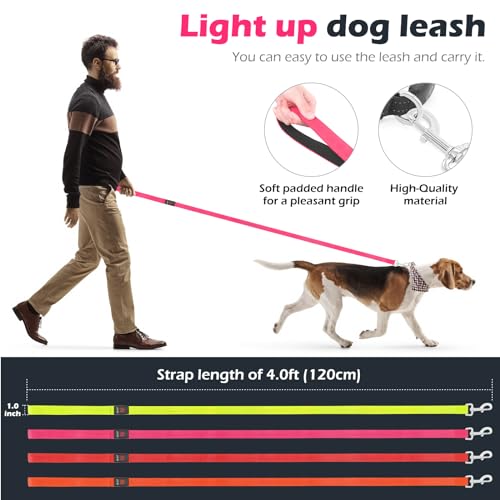 LED Dog Leash with Light - 4 Feet, Rechargeable, Nylon Webbing, Glow Safety Standard Dog Leash (Pink) - color: Pink, size: 4 Feet
