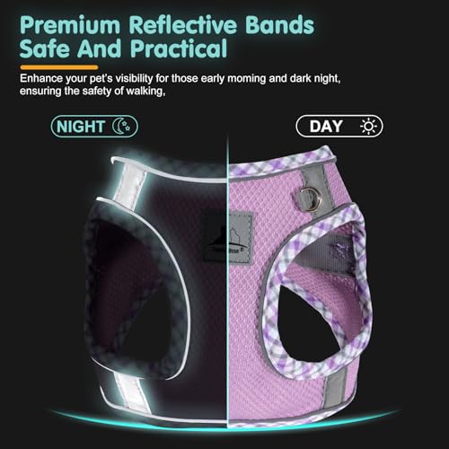 Dog Harness and Leash Set, No Pull Soft Breathable Adjustable Reflective Step In Vest Harness for Puppy, Kitten, Cats - color: purple, size: xxs