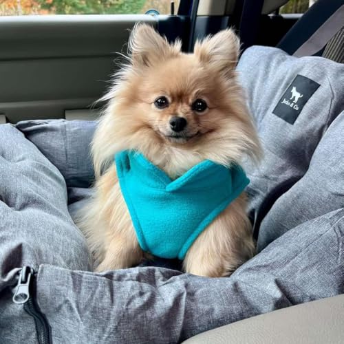 JACKO & CO - Fleece Vest Dog Sweater with Leash Ring - Soft, Warm & Lightweight Pullover Coat for Small & Medium Dogs, Puppies & Cats - Cozy Fall/Winter/Spring Pet Jacket (Turquoise, X-Small 2-4lbs) - color: Turquoise, size: XS (2-4lbs)