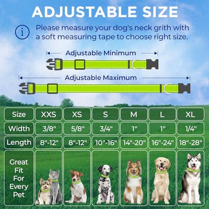 TECEUM Reflective Dog Collar – Acid Green – M – Extra Soft Padding – Basic Nylon Pet Collar – Quick Release Buckle – Fits Small, Medium and Large Dogs, Puppies, Cats – ESA & Service Dog Options - color: Acid Green, size: Medium
