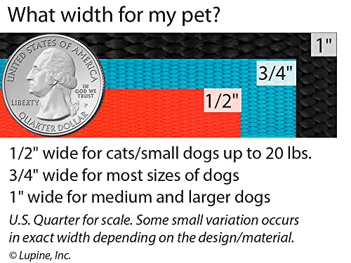 Lupine Extra Small Step in Dog Harness 1/2" Wide Petunias with 10-13" Girth - size: 1/2" wide; girth adjusts 10-13"