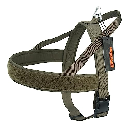 EXCELLENT ELITE SPANKER No Pull Dog Harness Padded Military Patrol Vest Adjustable Nylon Small Service Walking Dog Harness with Handle for Training Running(RGN-L) - color: RGN, size: L-(Chest 31.5-43")