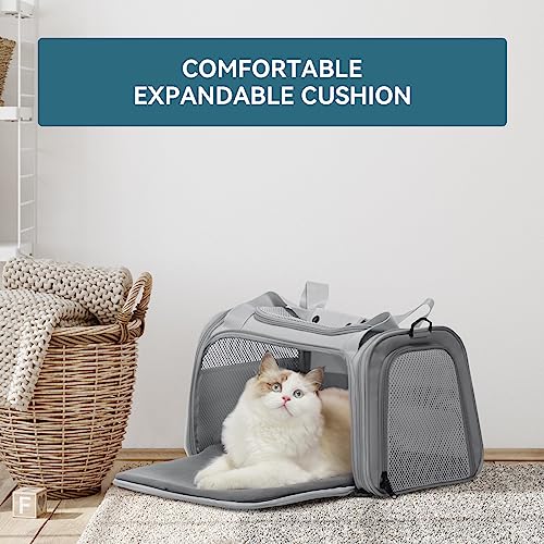 PETSFIT Cat Carrier Airline Approved, Soft Carrier for Small and Medium Cats Under 12 Lbs, Soft Cat Travel Bag, Kitten Carrier with Extendable Mat, Grey - color: Grey, size: Medium