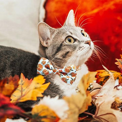 Fall Thanksgiving Harvest Cat Collar with Removable Bow Tie and Bell, Holiday Safety Breakaway Collar with Turkey and Pumpkin Spice Pattern for Boys and Girls Kitties Kittens - color: Thanksgiving Pumpkin