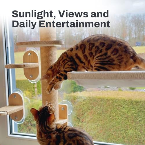 4-in-1 Window & Wall Mount Cat Wall Shelves – Hammock, Scratching Post & Perch | Fits up to 40 lbs | Space-Saving Pet Furniture for Windows, Glass & Drywall | Modern Wood Cat Shelf Set