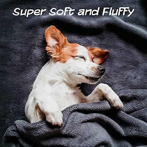 PETMAKER Pet Blanket - Reversible Waterproof Plaid Throw Protects Couch, Car, and Bed from Spills, Stains, or Fur - Dog and Cat Blankets (Gray), Large - color: Gray Plaid, size: Small