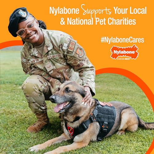 Nylabone Braid Bone Strong Chew Toy for Dogs, Natural Rubber Dog Toy for Moderate & Aggressive Chewers, Peanut Butter Flavor, Medium Dogs - Up to 35 lbs, 1 Count - size: Medium