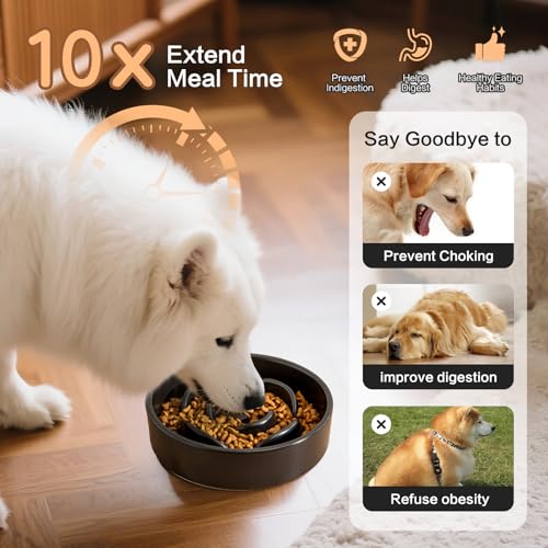 6'' Ceramic Slow Feeder Dog Bowls - Petal Shape Modern Dog Food Dish for Cats and Small Breed Dogs, Puzzle Maze Bowl to Slow Down Eating, Anti-Gulping, Dishwasher & Microwave Safe, Black - color: Black, size: 6 inch