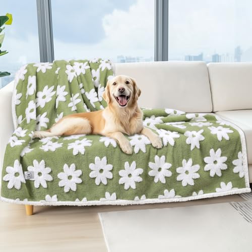 Luciphia Waterproof Pet Blanket for Medium Large Dogs Washable Fluffy Thick Jacquard Shag Fleece Warm Sherpa 3D Textured Flower Print for Cats Puppy Couch Protection (Green,67x57 inches) - color: Green, size: 67x57 inches