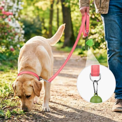 Joytale Dog Leash, 4 FT Double-Sided Reflective, Padded Handle Nylon Heavy Duty Leashes for Small Dogs Walking, Neon Pink - color: Neon Pink, size: 4 ft Narrow