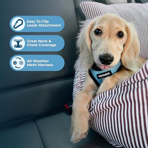 Best Pet Supplies Voyager Step-in Air All Weather Mesh Harness and Reflective Dog 5ft Leash Combo with Neoprene Handle, for Small, Medium and Large Breed Puppies - Set (Baby Blue/Black Trim), Medium - color: Harness Leash Bundle (Baby Blue/Black Trim), si