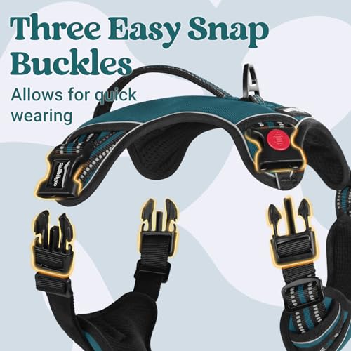 rabbitgoo Dog Harness for Large Dogs, No Pull Pet Harness with Soft Padded Handle, Adjustable Reflective Vest with 3 Buckles, Easy Walking Harness with 2 Leash Clips, Green, M - color: Green, size: Medium