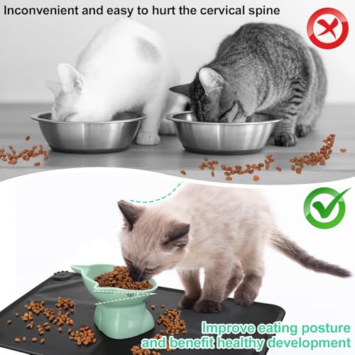 3 Pcs Elevated Cat Bowls 15° Raised Cat Food Bowl with Silicone Pet Food Mat Anti Vomiting Cats Dishes Pet Food and Water Bowls for Indoor Cats and Small Dogs(3 Colors) - color: Classic