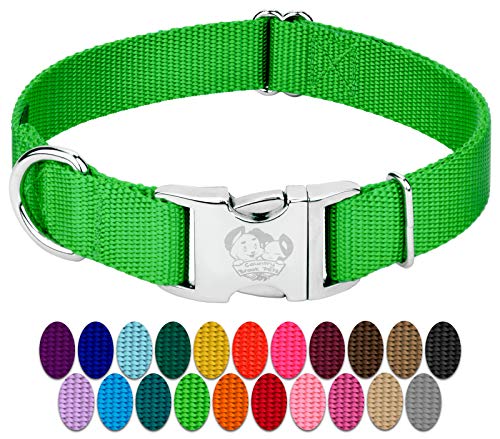 Country Brook Petz - Premium Nylon Dog Collar with Metal Buckle for Small Medium Large Breeds - 10+ Cool Colors (Small, 3/4 Inch Wide, Hot Lime Green) - color: Hot Lime Green, size: Small (Pack of 1)