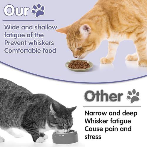 6 Pack Cat Food Bowl, Ceramic Cat Bowls, Anti Whisker Fatigue Cats Bowl Set,5.5 Inches Shallow Wide Kitten Plates for Food and Water (CaiSe-B) - color: CaiSe-B