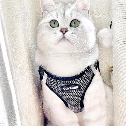 Best Pet Supplies Voyager Step-in Air All Weather Mesh Harness and Reflective Dog 5ft Leash Combo with Neoprene Handle, for Small, Medium and Large Breed Puppies - Set (Gray 2-Tone), X-Small