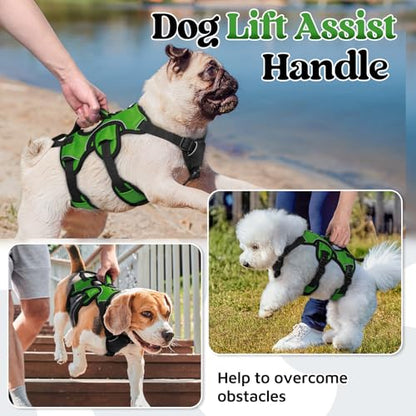 rabbitgoo Escape Proof Dog Harness, Soft Padded Full Body Pet Harness, Reflective Adjustable No Pull Vest with Lift Handle and Lesh Clip for Large Dogs Walking Hiking Training, S, Green - color: Green, size: Small (Pack of 1)