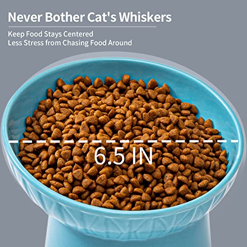 6.5 Inch Extra Wide Ceramic Raised Cat Bowls, Porcelain Tilted Elevated Cat Food Water Bowl Dish, Stress Free Pet Feeder Bowls Dishes for Elder Big Cats & Small Dogs, White & Blue - color: White & Blue