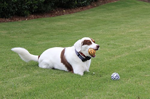 Unique Sports Dog Fetch Squeaker Balls Animal Prints 4 Pack - size: 4 Pack