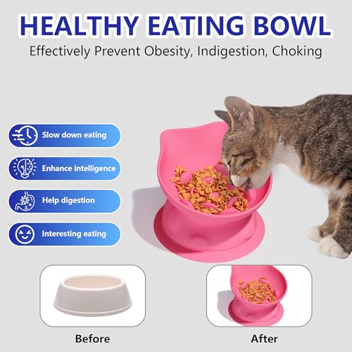 Slow Feed Cat Bowl, Elevated Cat Food Dish with Tilted Design, Dual-Use for Dry and Wet Food, Anti-Vomit, Anti-Choking, Easy to Clean - color: Pink, size: Big