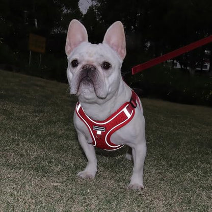 Dog Harness and Leash Set, Adjustable Triangle, Reflective Adjustable Puppy Vest, No Pull Soft Mesh Harness for Small, Medium Dogs, Cats (Red, S) - color: Red, size: S