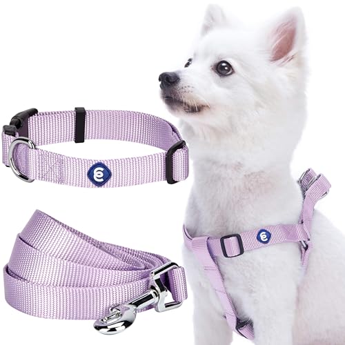 Blueberry Pet Essentials Matching Harness, Collar & Leash Set in Lavender, Adjustable Nylon for Medium & Large Breeds - color: Lavender - Collar + Leash + Harness, size: Large