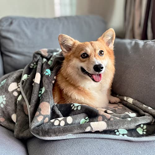 1 Pack 3 Puppy Blankets Super Soft Warm Sleep Mat Grey PAW Print Blanket Fleece Pet Blanket Dog Blankets for Small Dogs Puppy Dogs Fluffy Cats,Medium(29"x20") - color: Grey-paw(pack of 3), size: Medium(29"x20")
