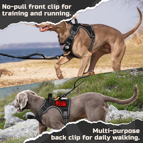 rabbitgoo Tactical Dog Harness Medium Sized Dog, No Pull Military Service Vest with Handle & Molle, Easy Control for Training Walking, Adjustable Reflective Straps, Black, M - color: Black, size: Medium