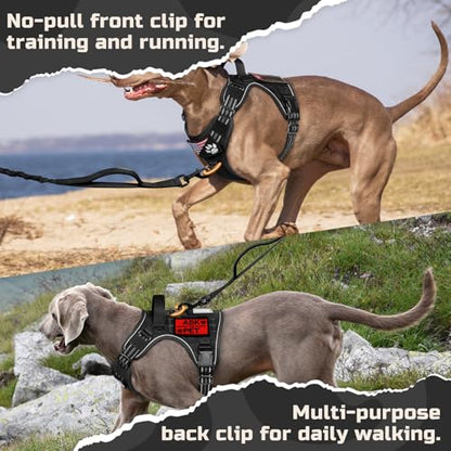 rabbitgoo Tactical Dog Harness Medium Sized Dog, No Pull Military Service Vest with Handle & Molle, Easy Control for Training Walking, Adjustable Reflective Straps, Black, M - color: Black, size: Medium