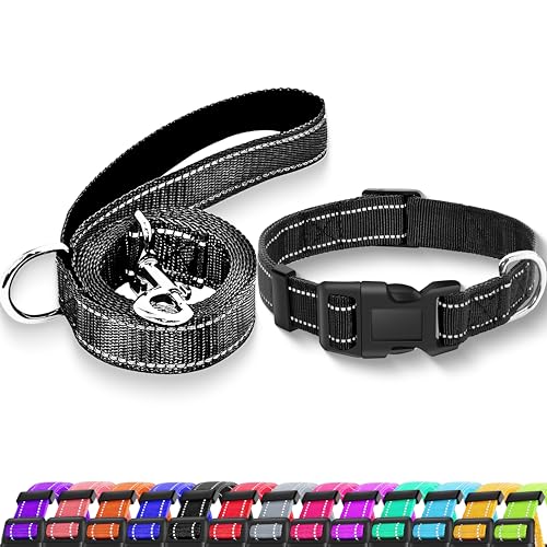 Reflective Dog Collar with Safety Locking Buckle, Adjustable Soft Breathable Nylon Collars for Small, Medium and Large Dogs(Collar+Leash XS Width 3/8" Black) - color: Black, size: XX-Small (Width 3/8")