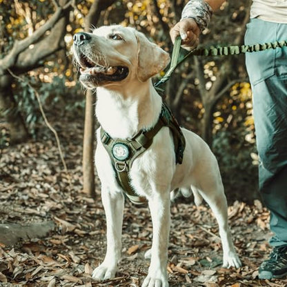 OneTigris Tactical Dog Harness Vest,No-Pull Service Dog Vest with Hook & Loop Panels,Adjustable Dog Vest Harness for Walking Hiking Training(Green,XXS) - color: Green, size: XX-Small