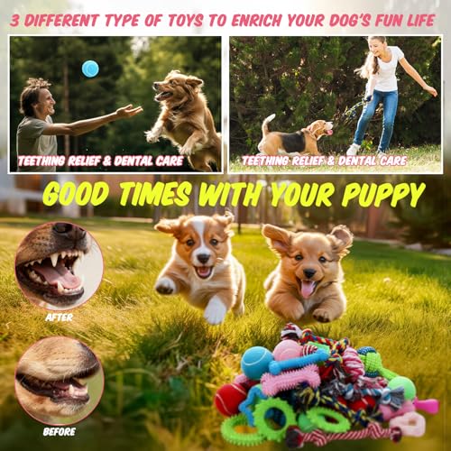 Zopeal 24 Pcs Luxury Dog Gift Set Thickened Plush Dog Bed and Sweater Dogs Squeaky Toys Breed Chewer Cute Duck Stuffed and Soft Squeaker Balls for Winter Puppy Pet Teething Chewing