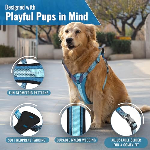 No-Pull Dog Harness with Handle - Escape Proof, Anti-Pulling, Grip Control, Multi-Angle Reflective for Safe Walks & Training, Easy On & Off, Metal Buckle–Pet Harness, Medium/Large Dogs- L-Blue - color: Blue, size: L:Neck19.7"~27.6",Chest24.8"-33.5"
