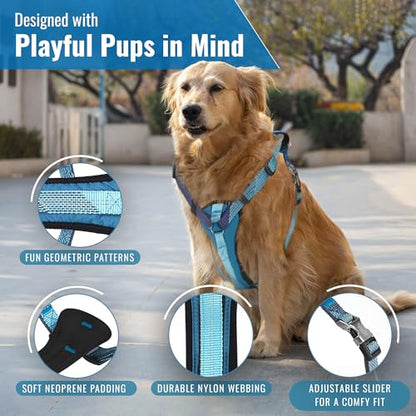 No-Pull Dog Harness with Handle - Escape Proof, Anti-Pulling, Grip Control, Multi-Angle Reflective for Safe Walks & Training, Easy On & Off, Metal Buckle–Pet Harness, Medium/Large Dogs- M- Black - color: Black, size: M:Neck16.9"~23.6",Chest18.9"-27.6"